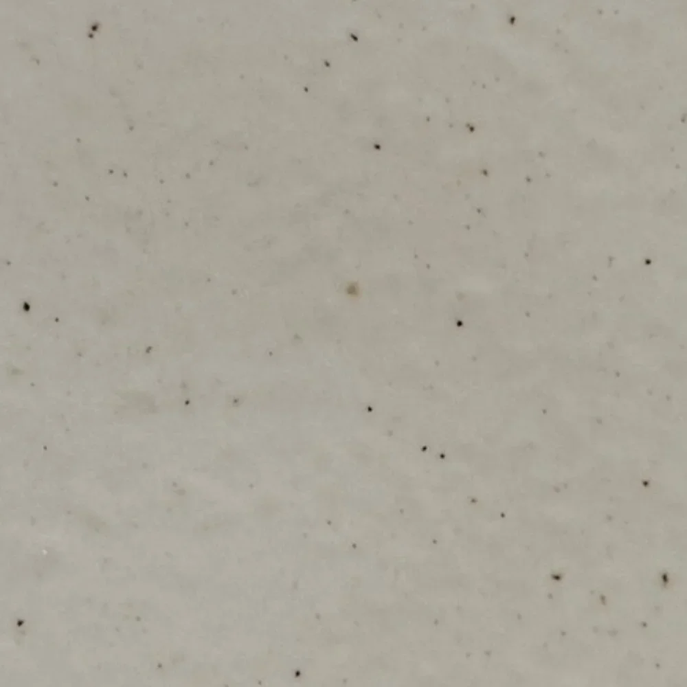 Casafina Ceramic Stoneware 10.5 Dinner Plate Pacifica Collection Vanilla Speckle - Picture 9 of 13